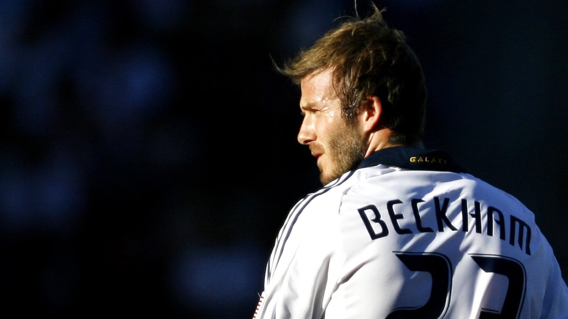 美洲杯追梦现场:明星光环闪耀全场!,美洲杯冠军猜测